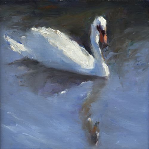Swan, oil / canvas, 2022, 30 x 30 cm, Sold